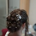 cleo_web_50